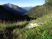 14 Dal Passo della Marogella vista sulla conca di Mezzeno